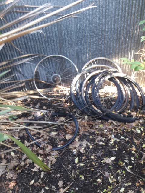 Rubbish/Recycling, a report photo