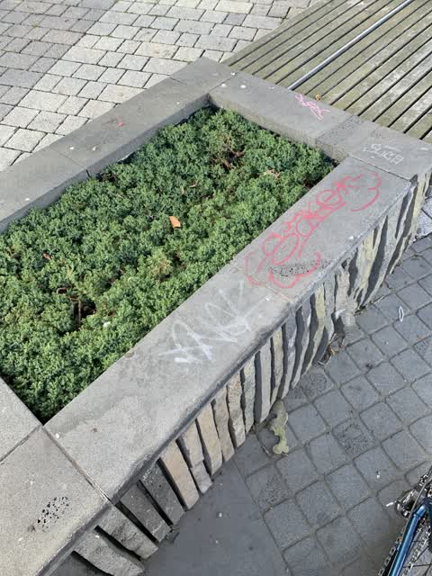 Graffiti — a report photo