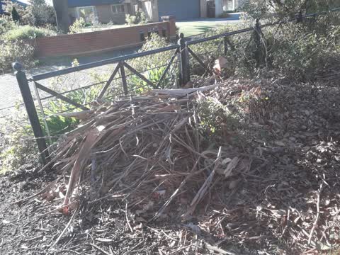 Parks, a report photo