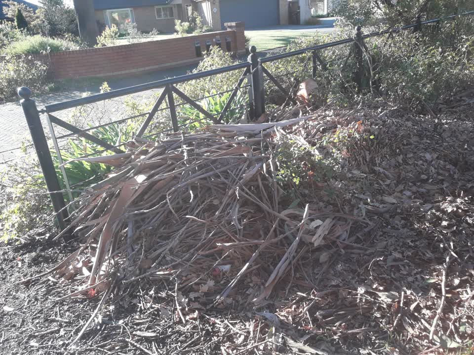 The photograph attached to this parks report