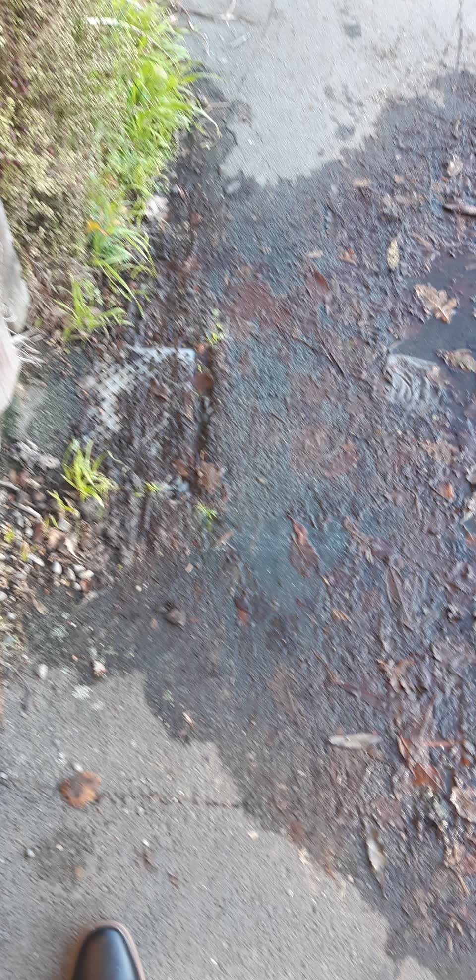 The photograph attached to this water leak report