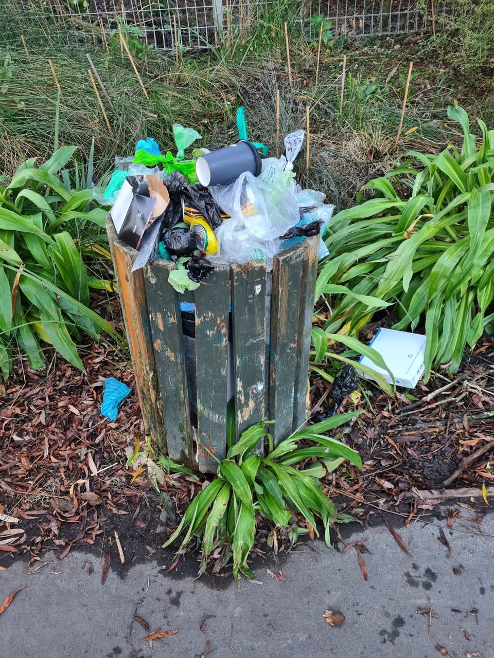 The photograph attached to this rubbish/recycling report