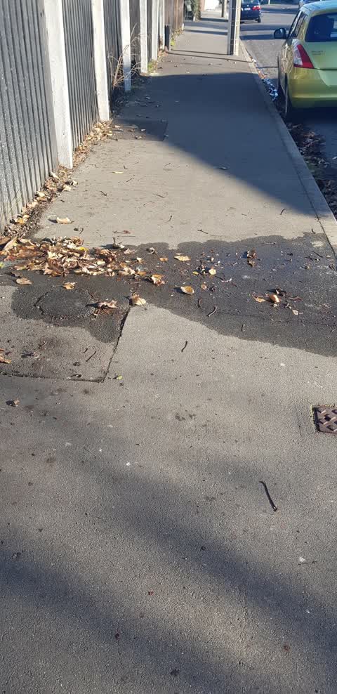 Water Leak, a report photo