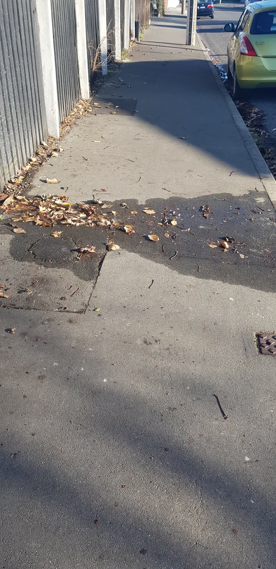 The photograph attached to this water leak report
