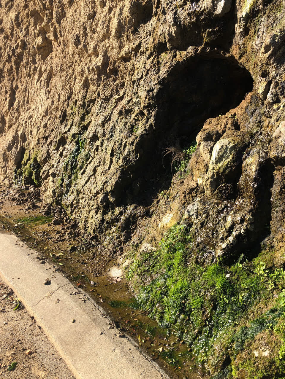 The photograph attached to this water leak report