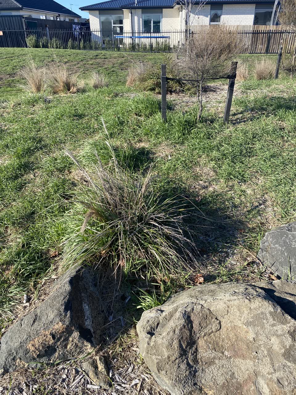 The photograph attached to this parks report