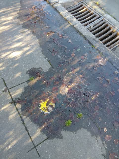 Wastewater/Stormwater, a report photo