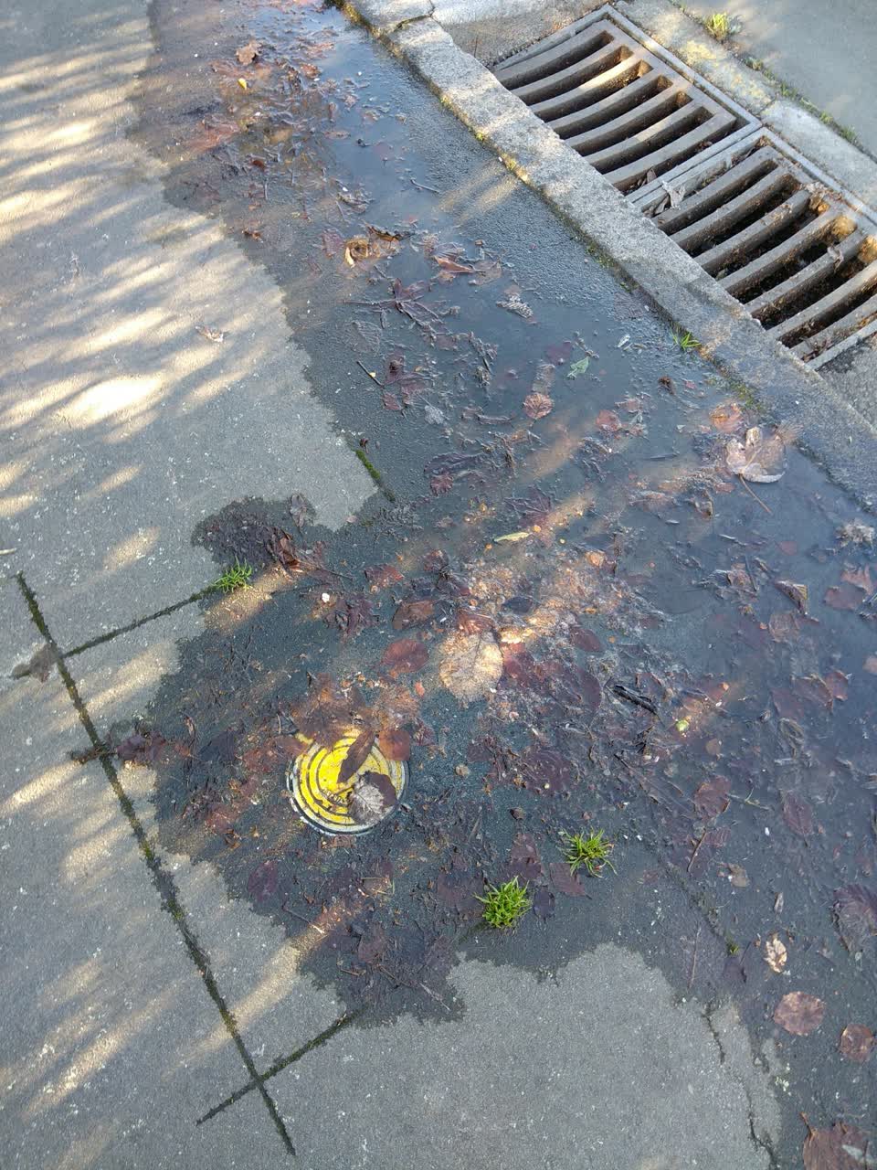 The photograph attached to this wastewater/stormwater report