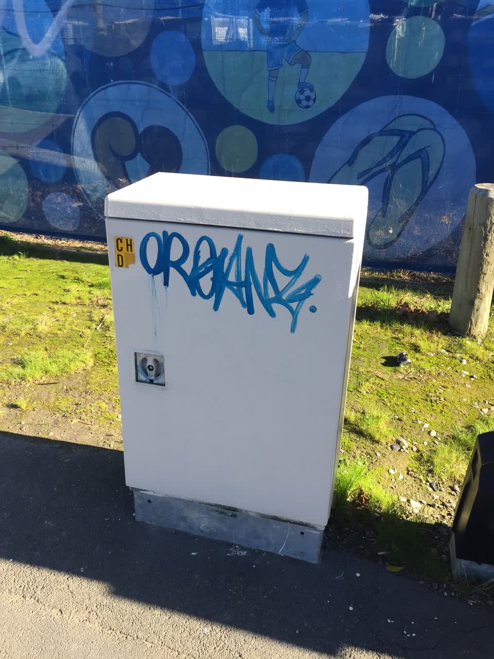 The photograph attached to this graffiti report