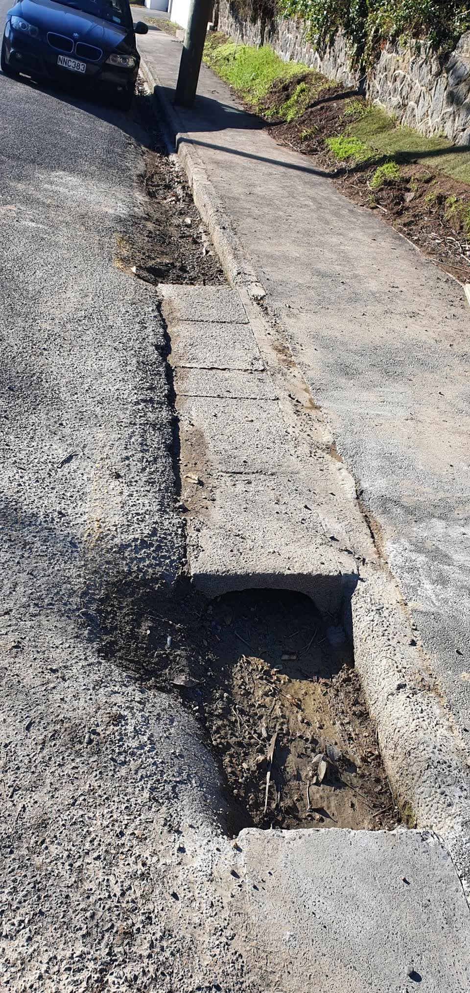 The photograph attached to this roading/streets report