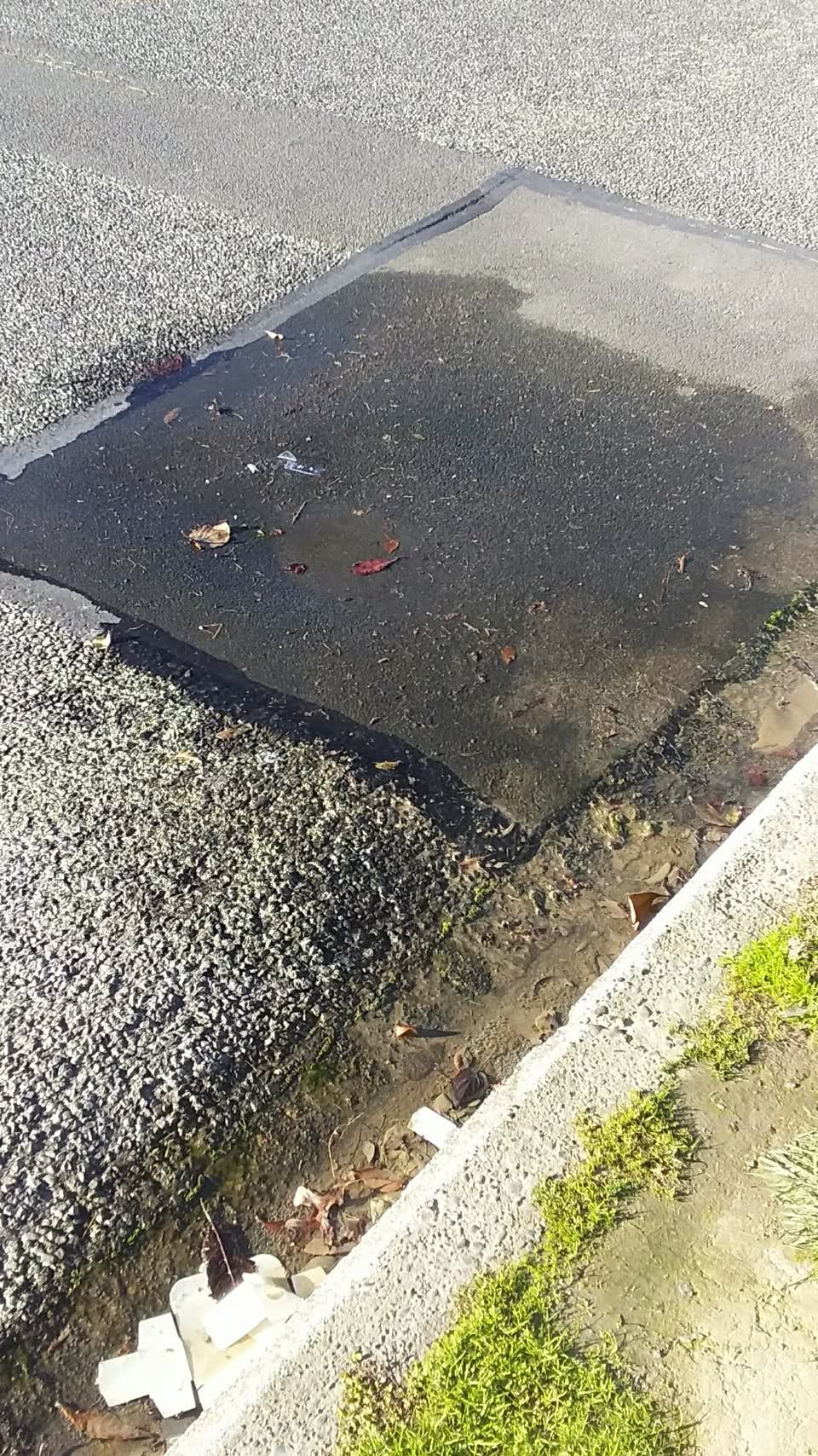 The photograph attached to this water leak report