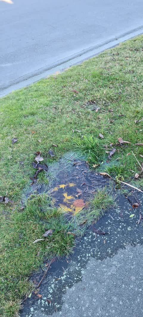 Flooding, a report photo