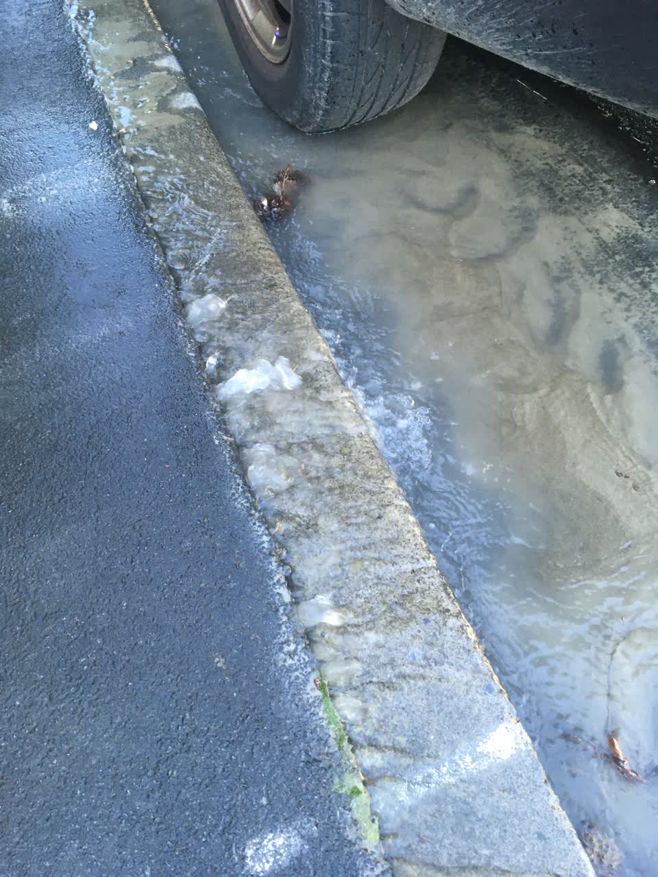 The photograph attached to this water leak report