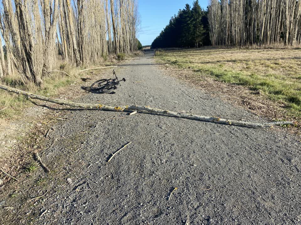 The photograph attached to this parks report