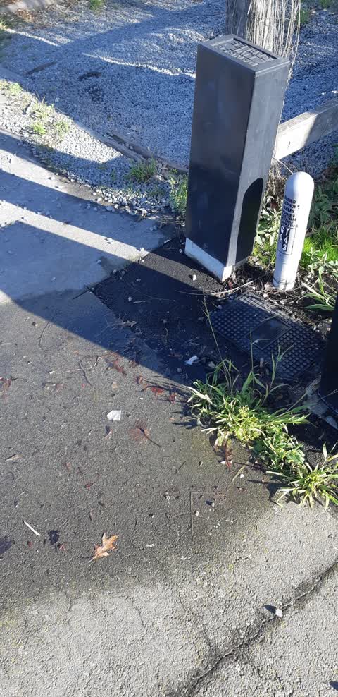 Water Leak, a report photo