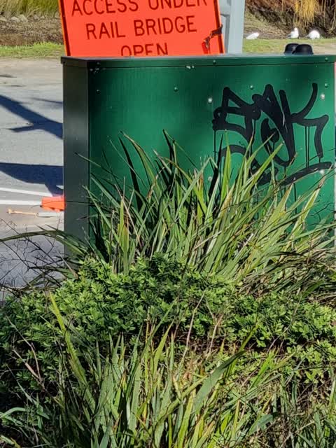 Graffiti, a report photo
