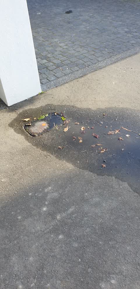 Water Leak, a report photo