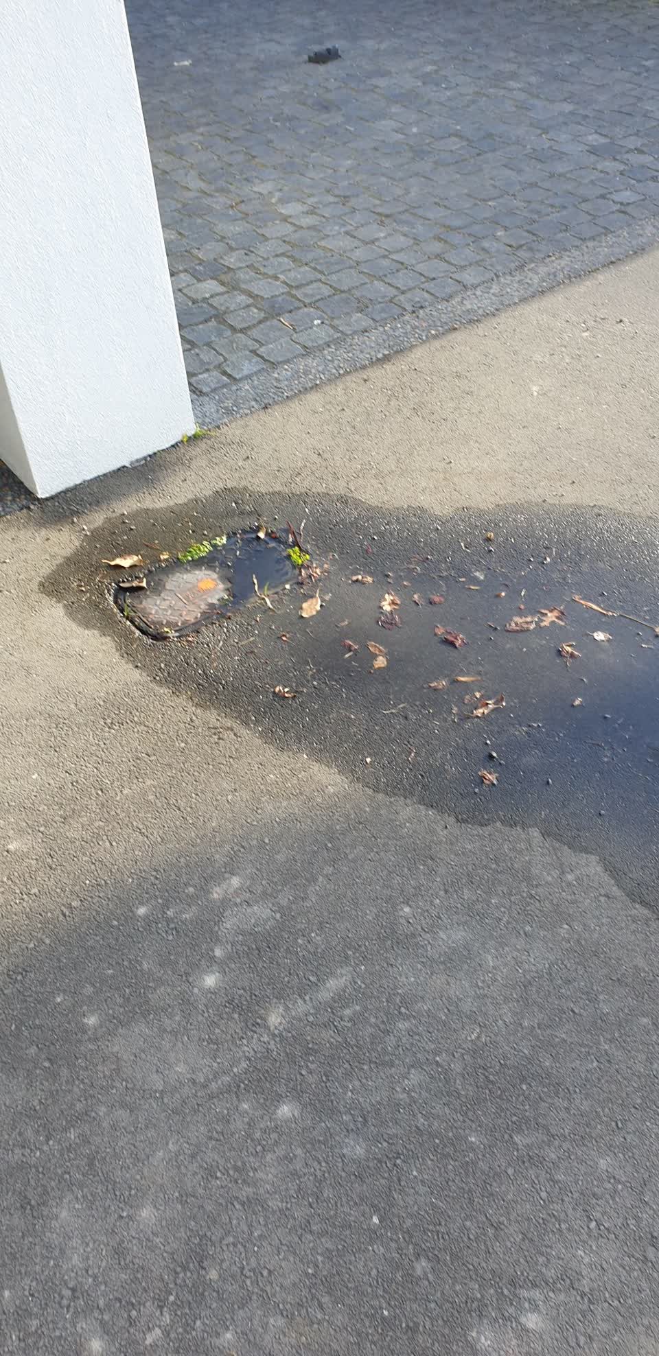 The photograph attached to this water leak report