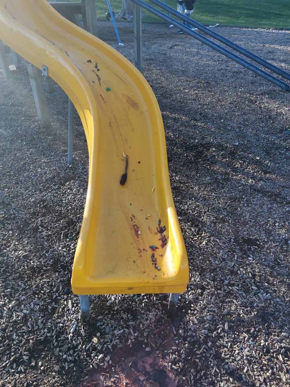 The photograph attached to this parks report