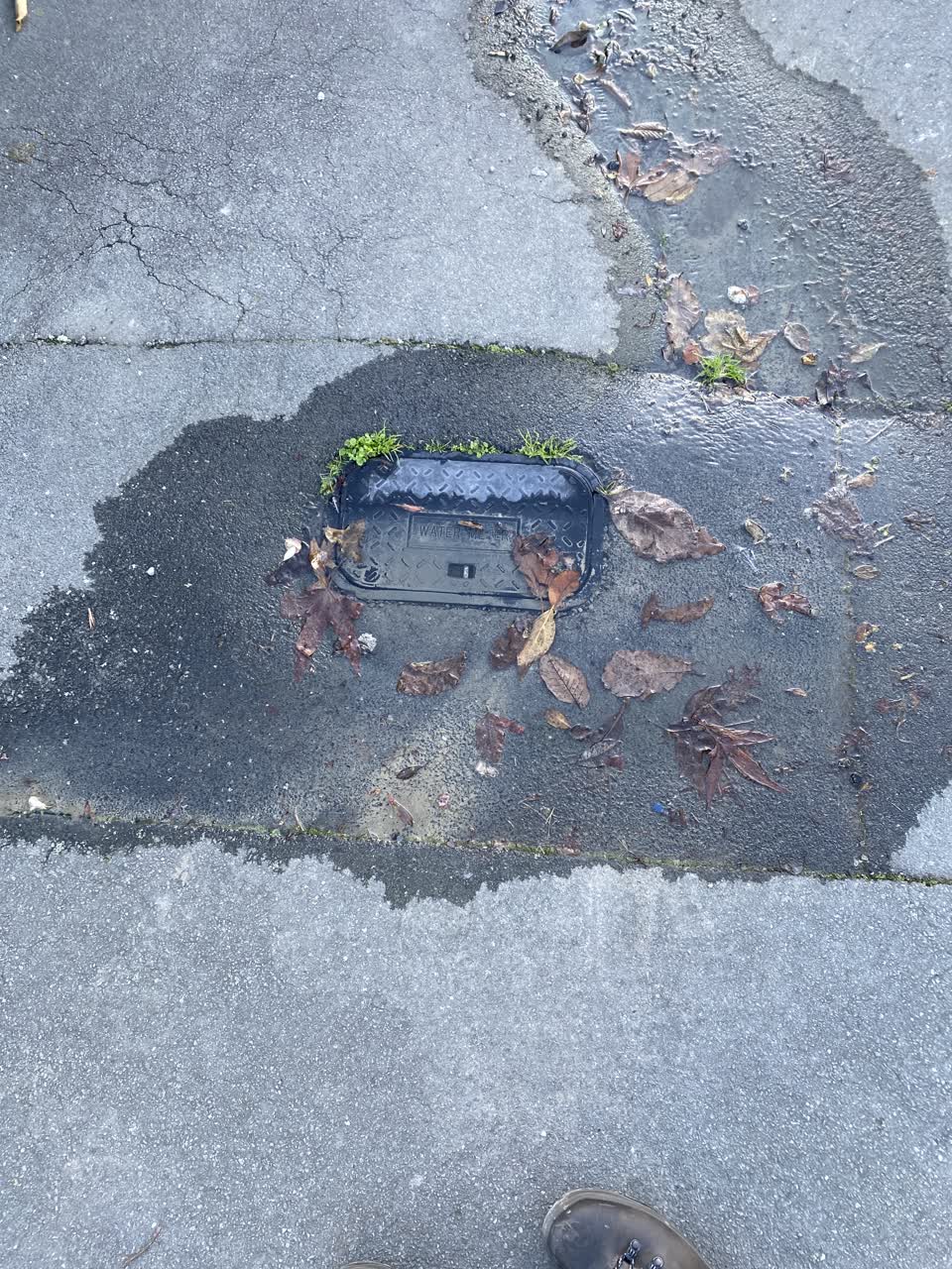 The photograph attached to this water leak report