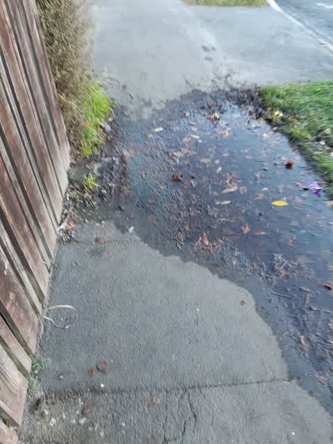 Water Leak, a report photo