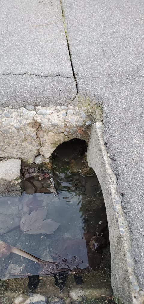 Water Leak, a report photo