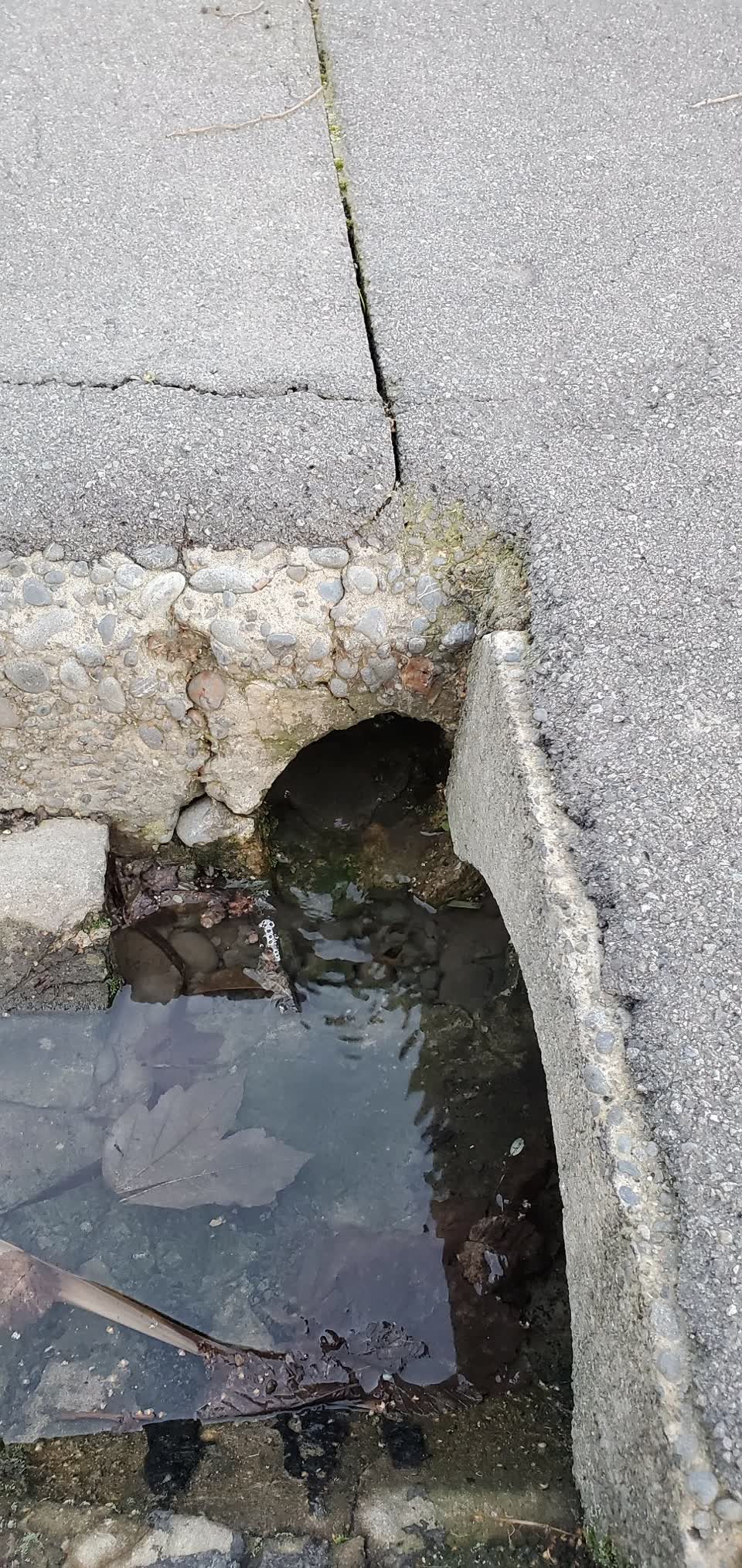 The photograph attached to this water leak report