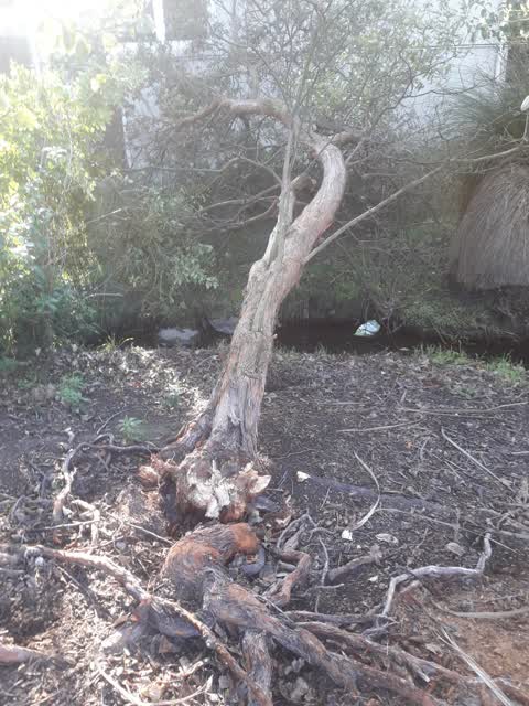Parks, a report photo