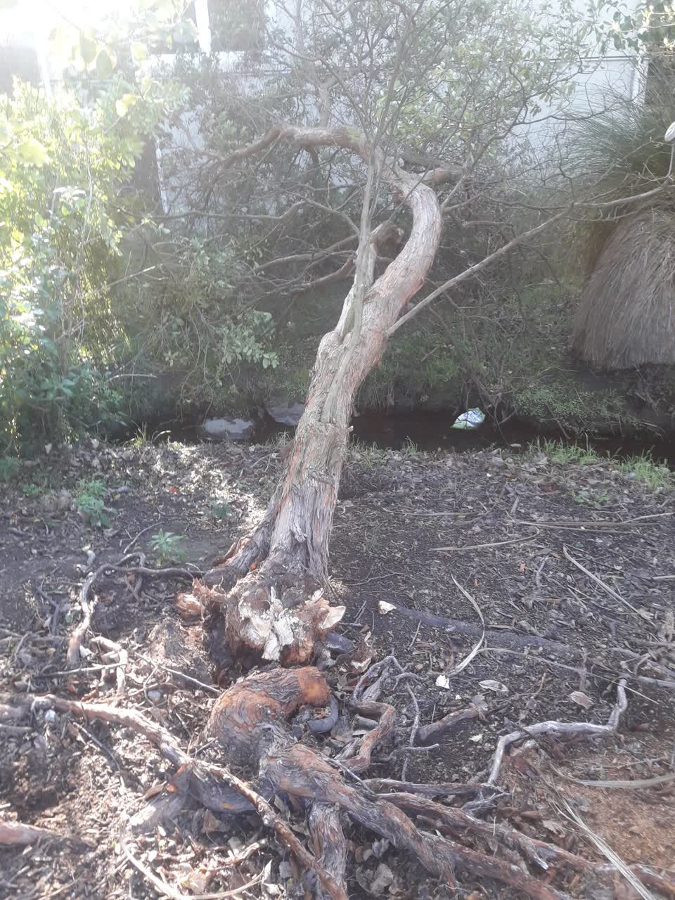 The photograph attached to this parks report