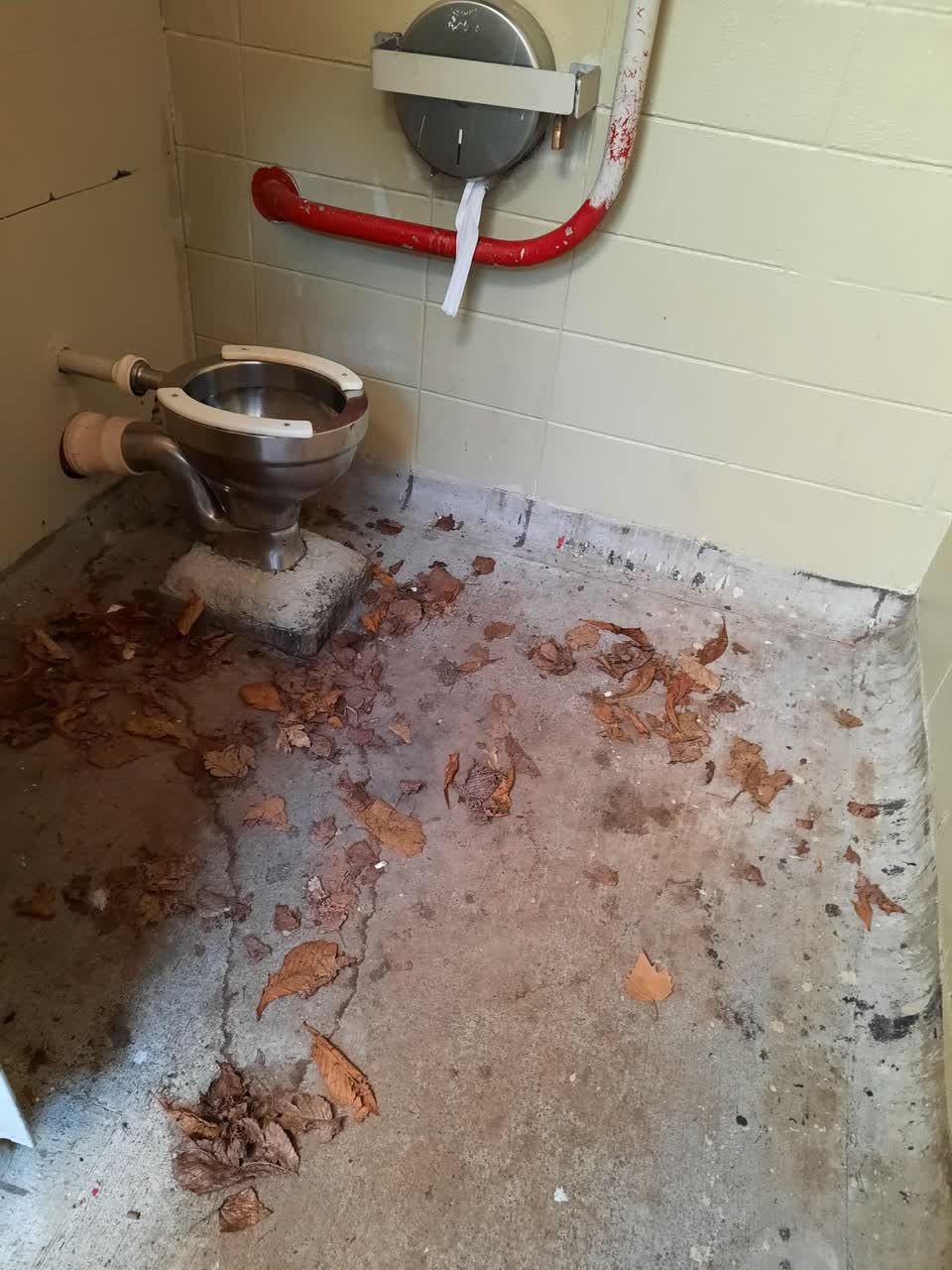 The photograph attached to this parks report