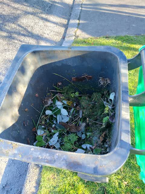 Rubbish/Recycling, a report photo