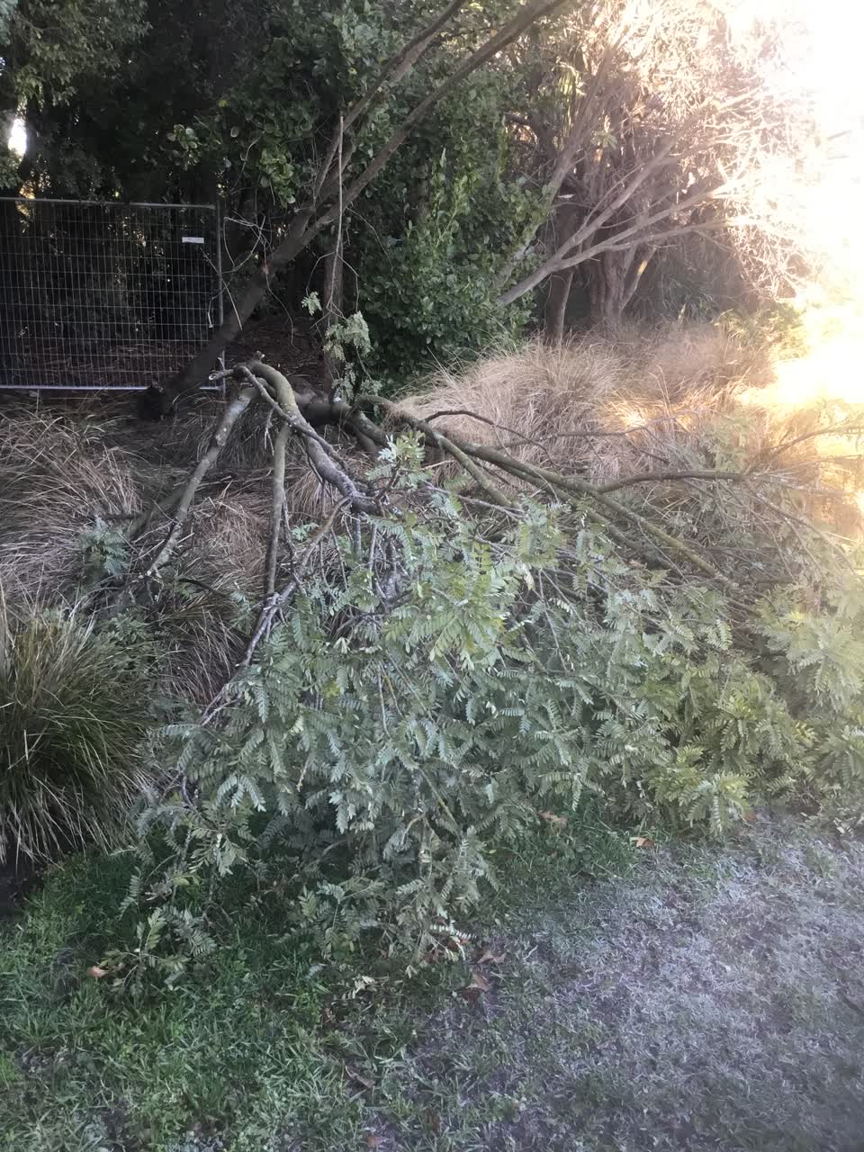 The photograph attached to this parks report