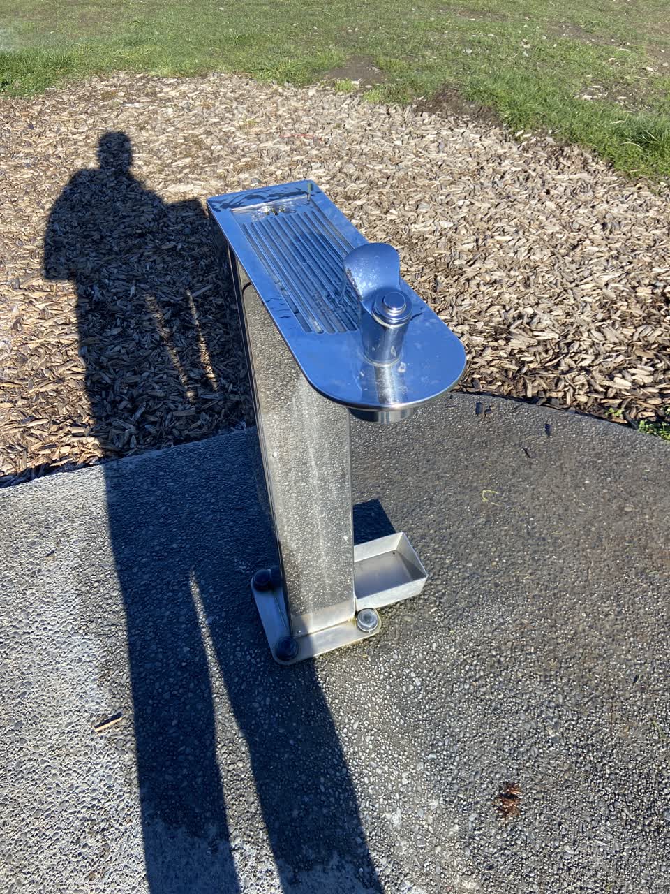 The photograph attached to this parks report