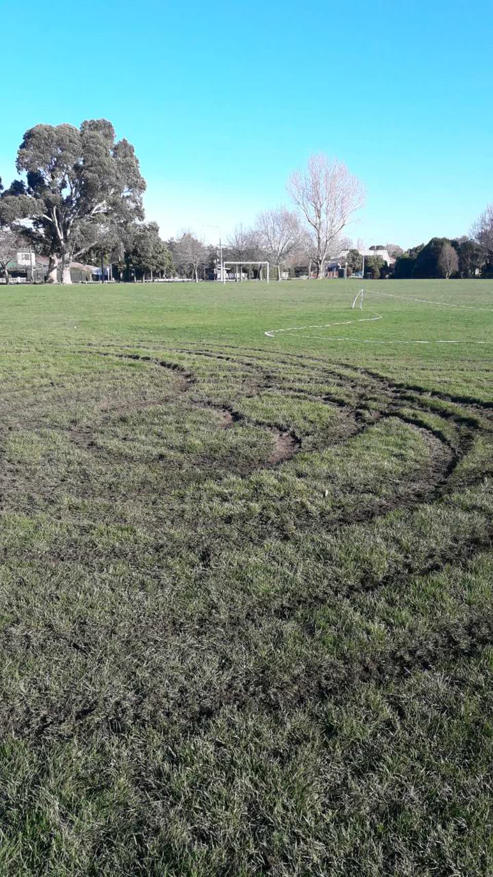 The photograph attached to this parks report