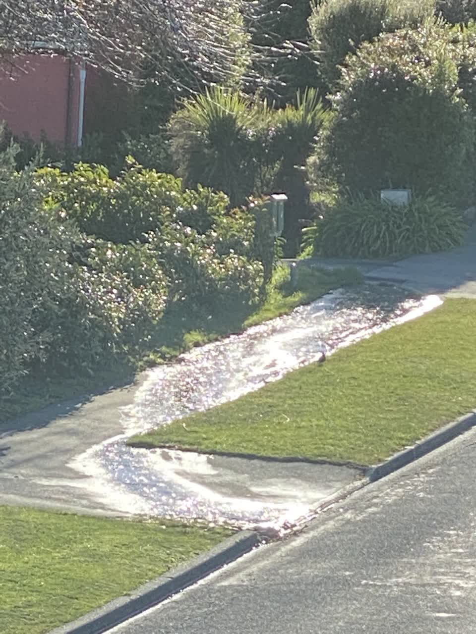 The photograph attached to this water leak report