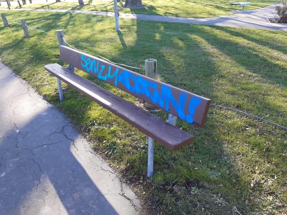 The photograph attached to this graffiti report