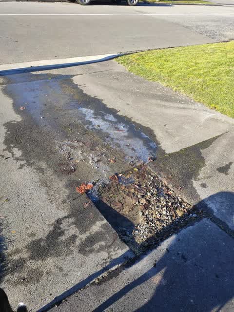 Water Leak, a report photo