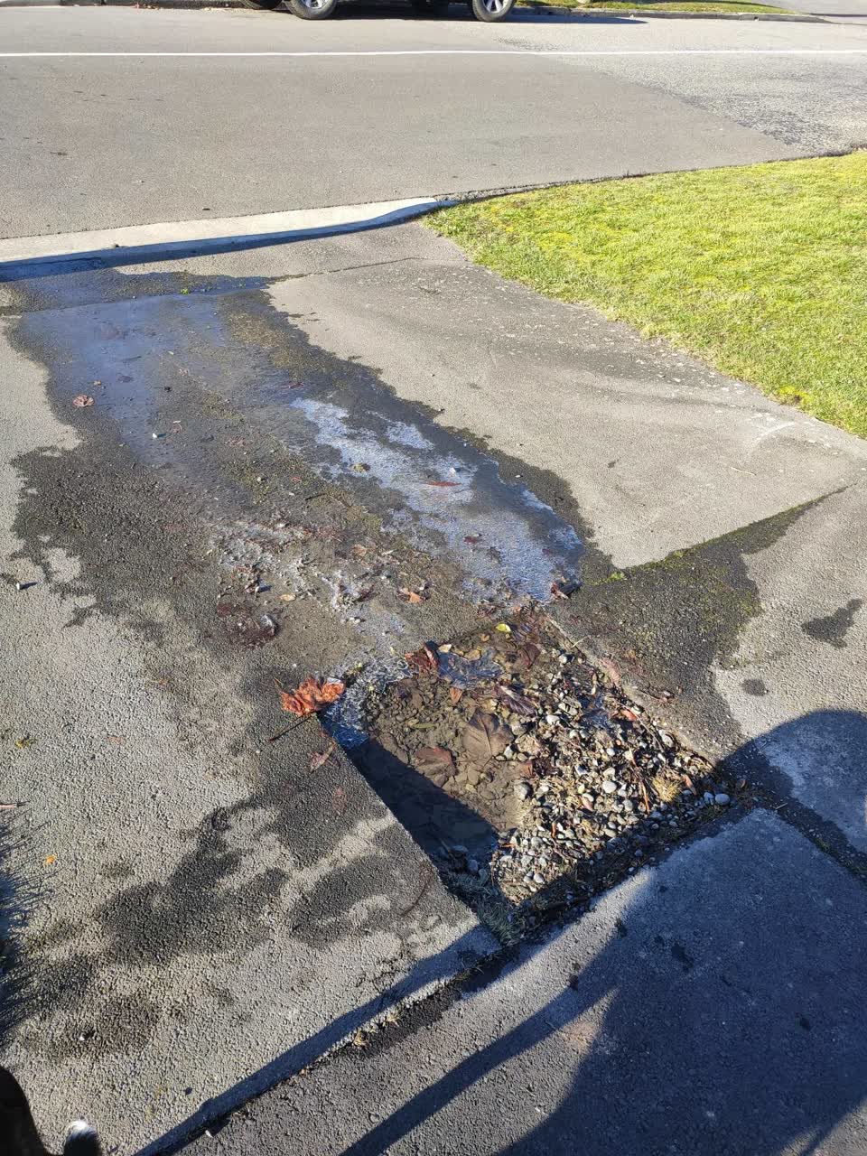 The photograph attached to this water leak report