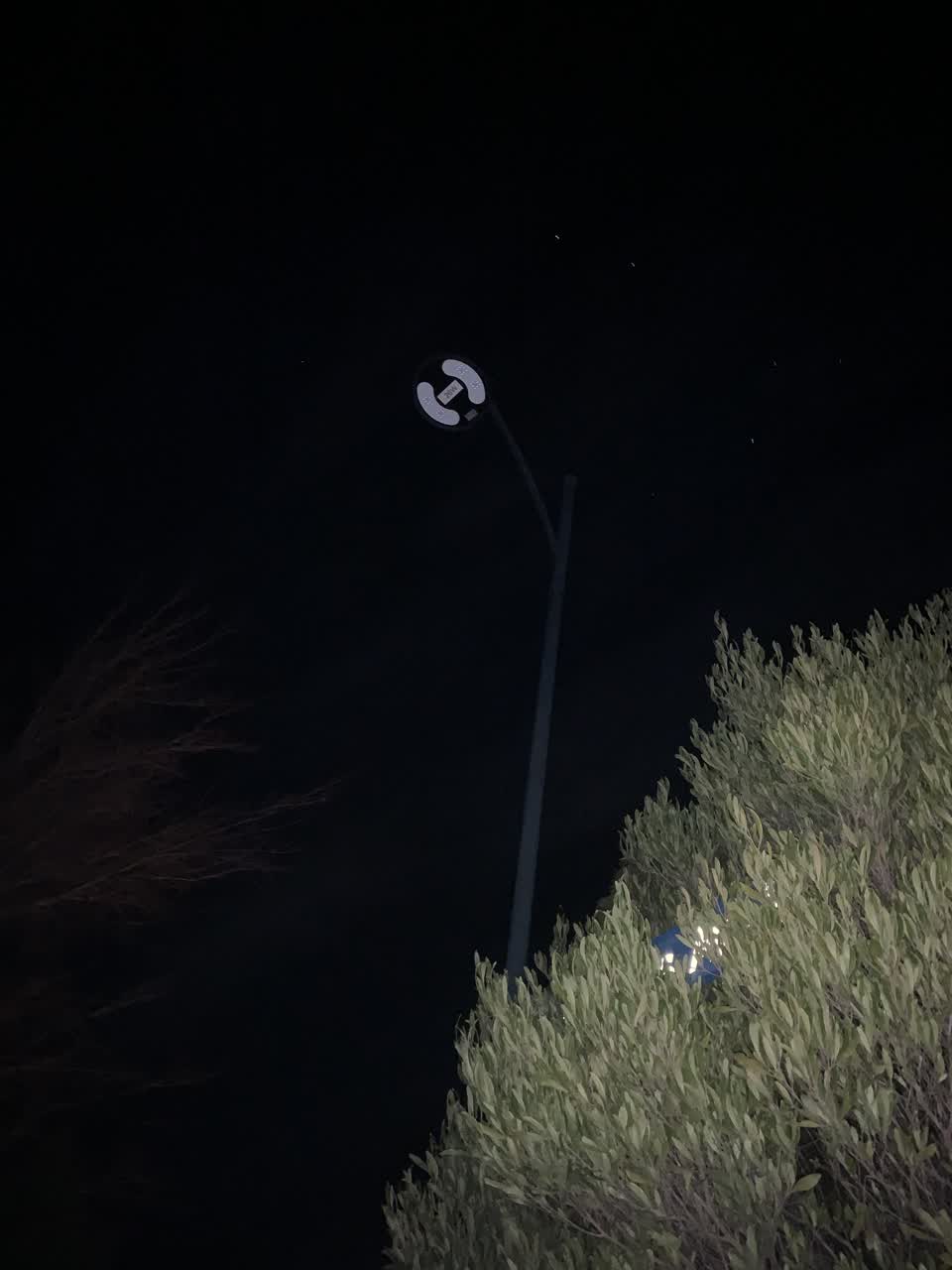 The photograph attached to this street light outage report