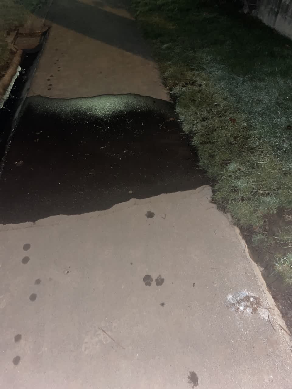 The photograph attached to this water leak report