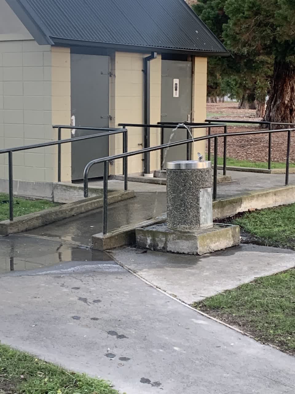 The photograph attached to this parks report