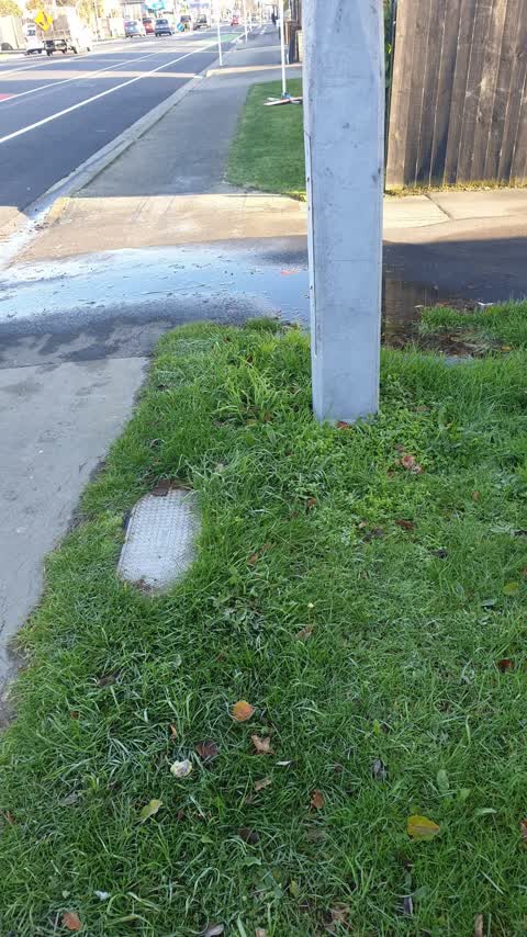 Water Leak, a report photo