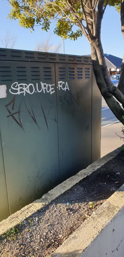 Graffiti, a report photo