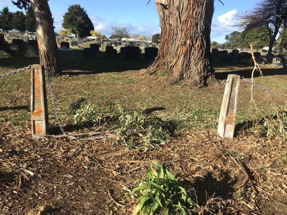 The photograph attached to this parks report