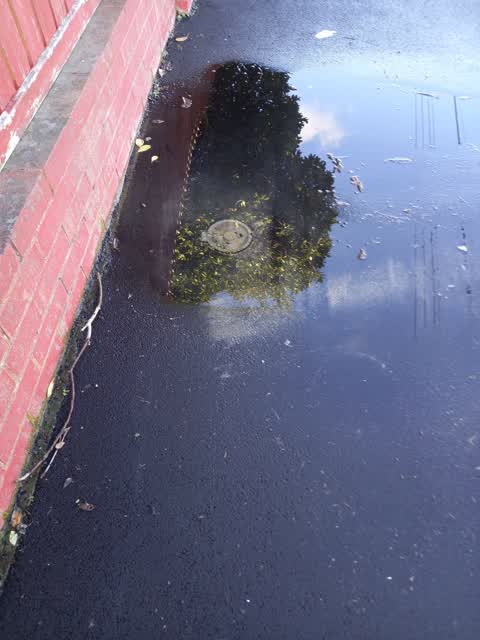 Water Leak, a report photo