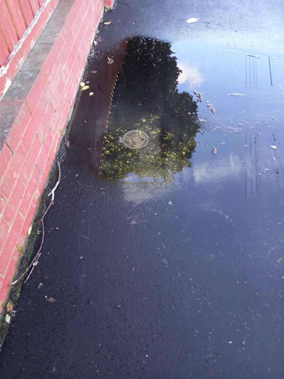 The photograph attached to this water leak report