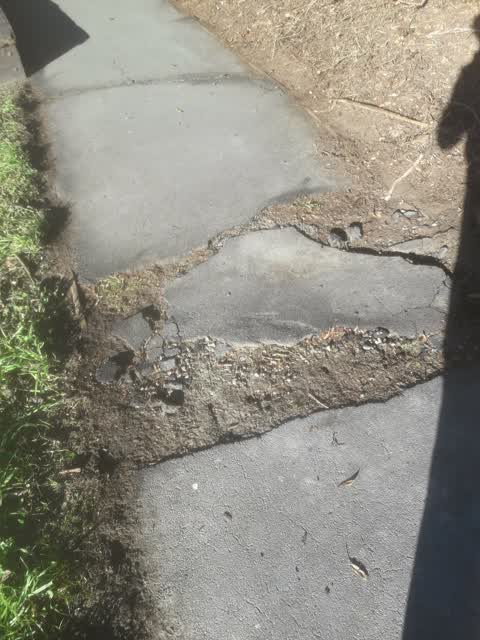 Parks, a report photo