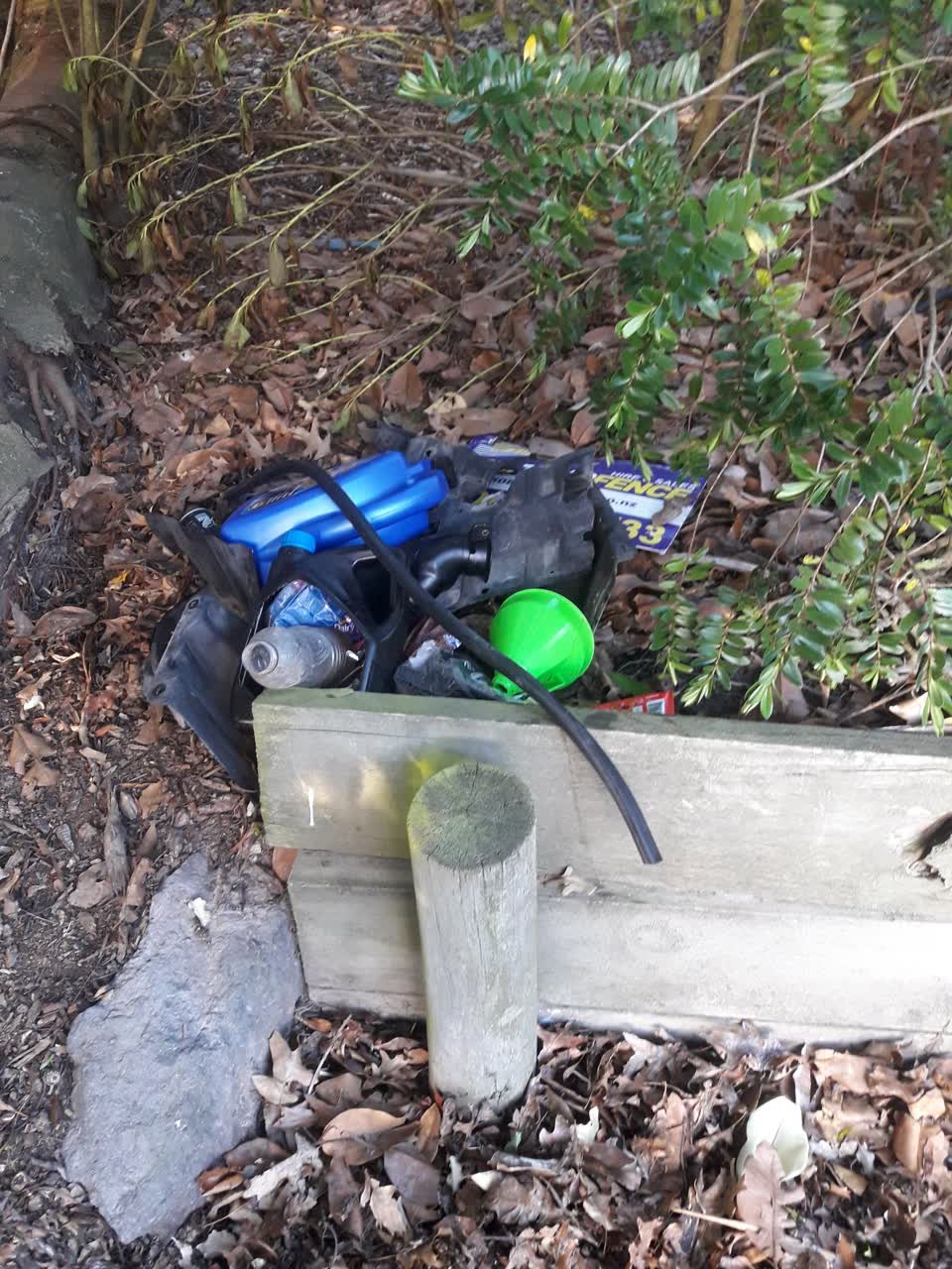 The photograph attached to this parks report