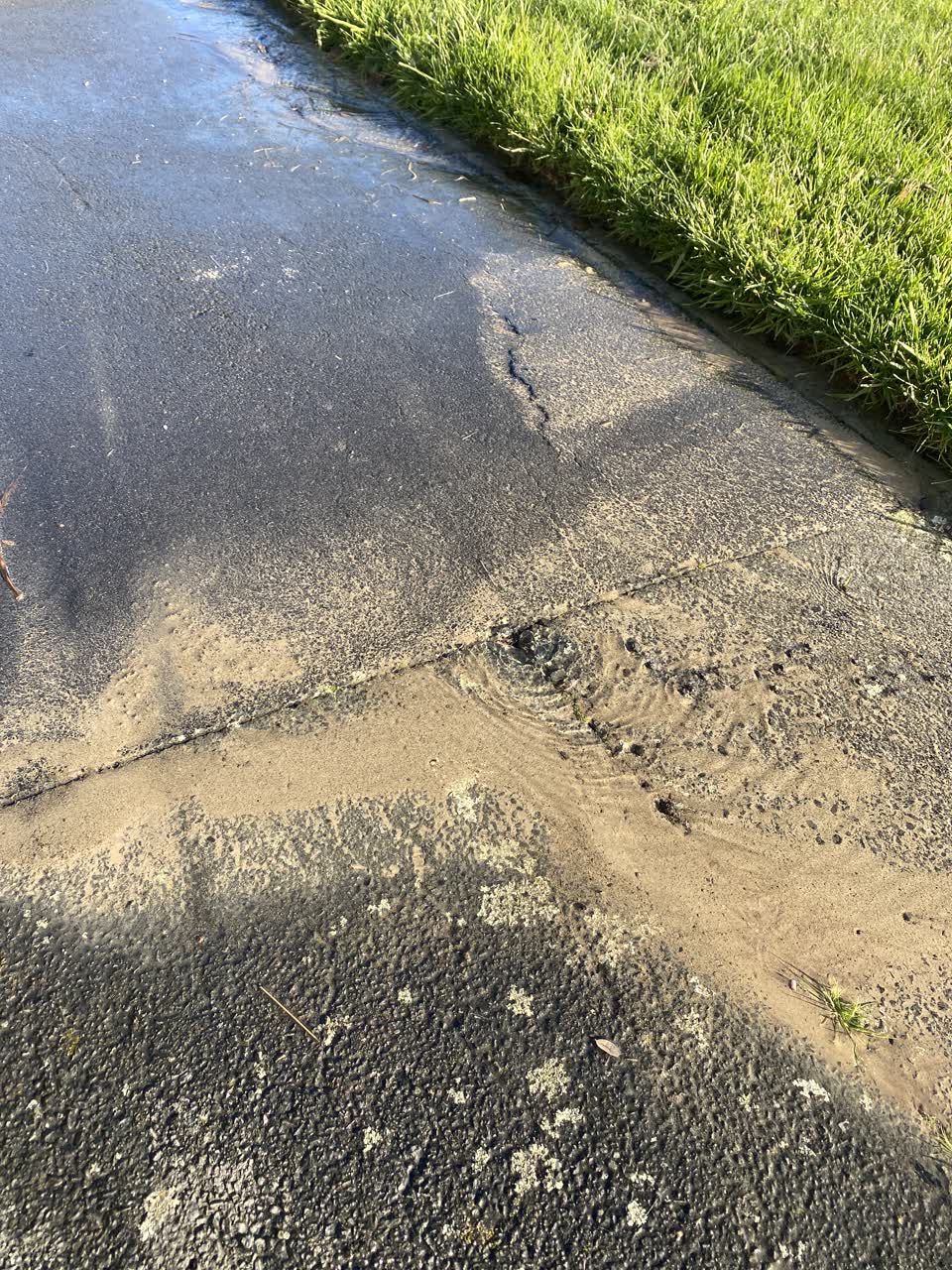 The photograph attached to this water leak report