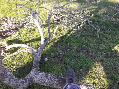 Parks, a report photo